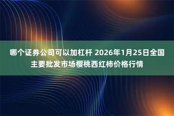 哪个证券公司可以加杠杆 2026年1月25日全国主要批发市场樱桃西红柿价格行情